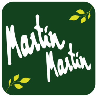 Martín Martín